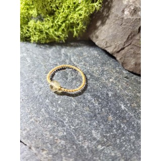 Cytryn – złoty blask energii